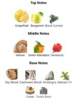 پارفومز د مارلی پرسوس مردانه - تصویر 4