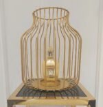 زرجف اکسنتو اوردوز زنانه مردانه - تصویر 5