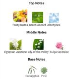 زرجف اکسنتو اوردوز زنانه مردانه - تصویر 3