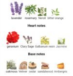 شنل اگویست پلاتینیوم مردانه - تصویر 3