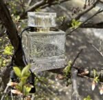 لالیک لامور زنانه - تصویر 3