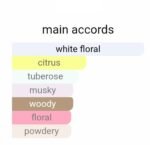 لالیک لامور زنانه - تصویر 5