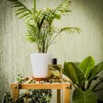 باربری هیرو مردانه - تصویر 3