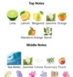 جورجیو آرمانی آکوا دی جیو مردانه - تصویر 3