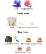 نارسیس رودریگز نارسیسو رژ زنانه - تصویر 5