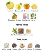 شنل الور هوم اسپرت کولون مردانه - تصویر 3