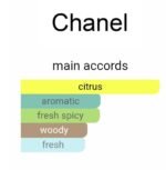 شنل الور هوم اسپرت کولون مردانه - تصویر 4