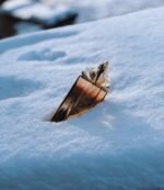 موگلر الین عود مجستیک زنانه