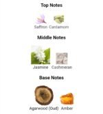 موگلر الین عود مجستیک زنانه - تصویر 4