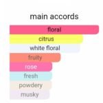 لانوین مری می زنانه - تصویر 5