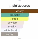شیخ شماره ۷۰ مردانه - تصویر 4