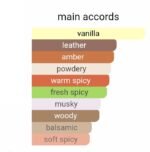 ایو سن لورن بیبی کت راو بوربون - تصویر 5