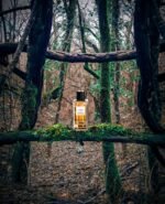 ایو سن لورن تاکسیدو - تصویر 3