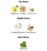 ایو سن لورن مای سلف له ابسولو مردانه - تصویر 5