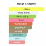 ایو سن لورن مای سلف له ابسولو مردانه - تصویر 6