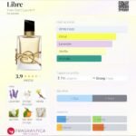 ایو سن لورن لیبر زنانه - تصویر 2