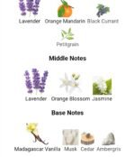 ایو سن لورن لیبر زنانه - تصویر 4