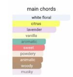 ایو سن لورن لیبر زنانه - تصویر 5