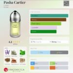 کارتیر پاشا مردانه - تصویر 2