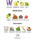 شیخ شماره ۷۷ مردانه - تصویر 5