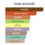 ایسی میاکه نویت د ایسه مردانه - تصویر 4