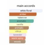 مارلی سدبری زنانه - تصویر 5