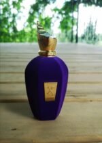 زرجف اکسنتو (اچنتو) زنانه و مردانه