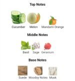 رالف لورن پولو بلو مردانه - تصویر 4