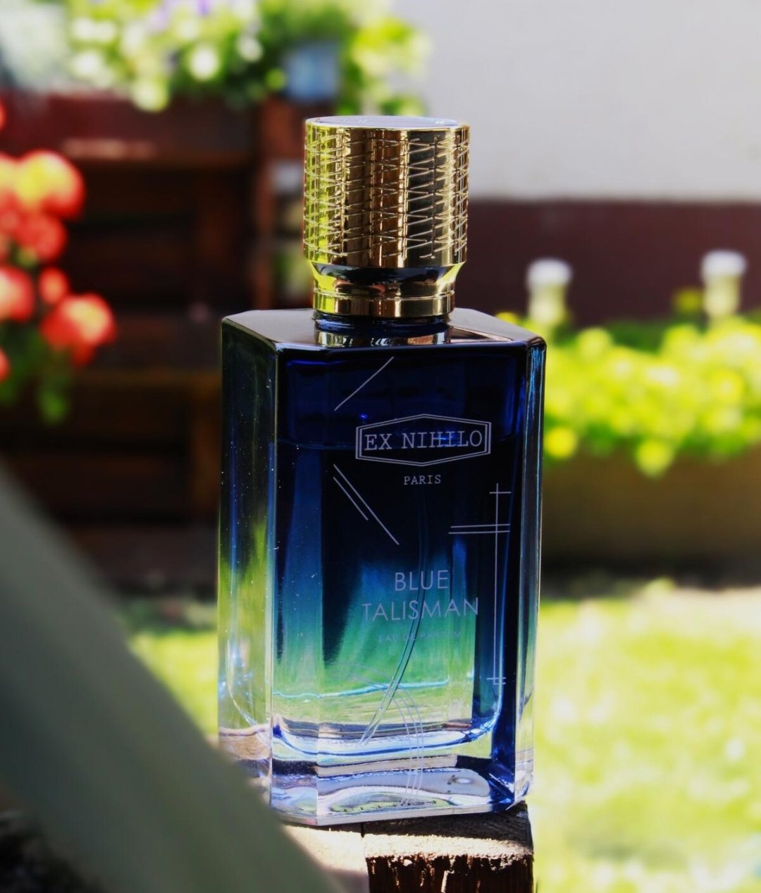 Screenshot_20251215_164720_Chrome ای ایکس نیهیلو بلو تالیسمان مردانه و زنانه - تصویر 1