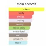 ای ایکس نیهیلو بلو تالیسمان مردانه و زنانه - تصویر 5