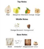 ای ایکس نیهیلو بلو تالیسمان مردانه و زنانه - تصویر 6