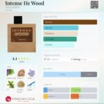 دسکوارد۲ هی وود اینتنس مردانه - تصویر 2