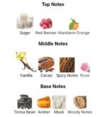 بیلی آیلیش زنانه - تصویر 5