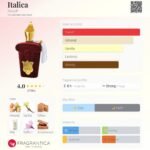 زرجف کازاموراتی ایتالیکا مردانه و زنانه - تصویر 2