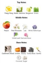 تیزیانا ترنزی اندرومدا زنانه و مردانه - تصویر 4