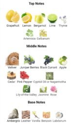 روژا داو الیزیوم پورهوم مردانه - تصویر 4