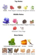 تام فورد نویر مردانه - تصویر 3