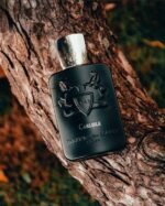 مارلی کارلایل مردانه