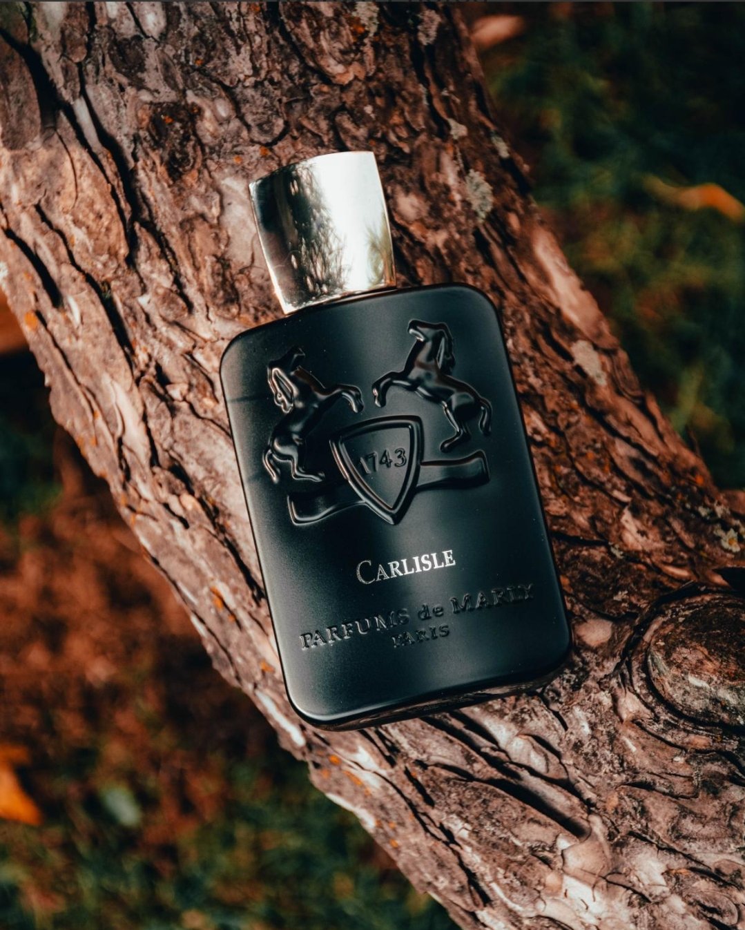 Screenshot_20251231_182607_Chrome مارلی کارلایل مردانه - تصویر 1