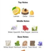 شنل چنس او فرش زنانه - تصویر 4