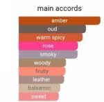 لویی ویتون امبر نومد زنانه و مردانه - تصویر 5