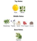 لویی ویتون آن د بیچ مردانه و زنانه