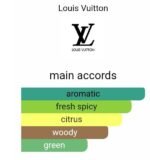 لویی ویتون آن د بیچ مردانه و زنانه