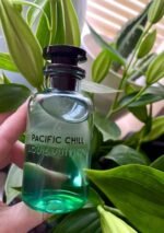 لویی ویتون پسیفیک چیل مردانه زنانه