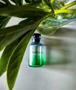 لویی ویتون پسیفیک چیل مردانه زنانه - تصویر 2