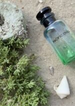 لویی ویتون پسیفیک چیل مردانه زنانه - تصویر 3