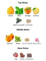 لویی ویتون پسیفیک چیل مردانه زنانه - تصویر 4