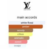 لویی ویتون استلار تایمز مردانه زنانه - تصویر 5