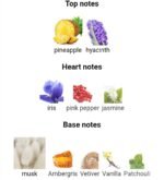 زرجف اکسنتو (اچنتو) زنانه و مردانه - تصویر 4