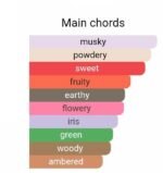 زرجف اکسنتو (اچنتو) زنانه و مردانه - تصویر 5